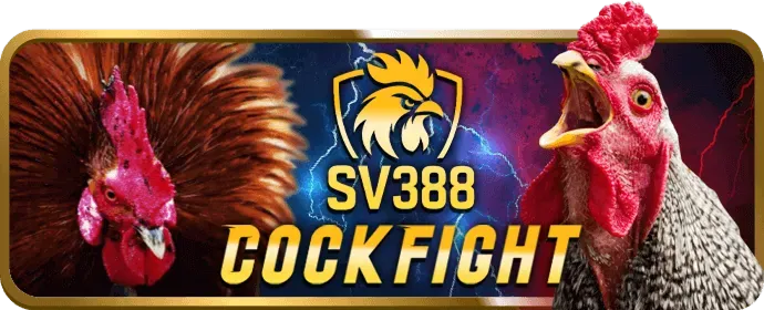 Kỹ năng ngắm bắn và săn cá